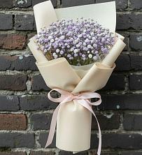 Букет цветов из:  Гипсофила в Хакуринохабль