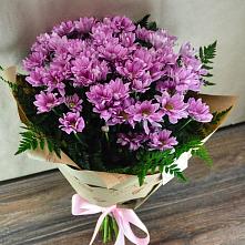 Букет цветов из:  Хризантемы #REPLACE_PRED# Хакуринохабль