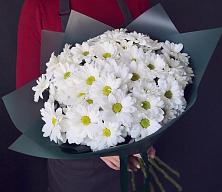 Букет цветов из:  Хризантемы #REPLACE_PRED# Хакуринохабль