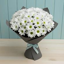 Букет цветов из:  Хризантемы #REPLACE_PRED# Хакуринохабль