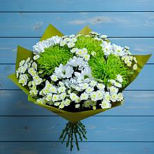Букет цветов из:  Хризантемы #REPLACE_PRED# Хакуринохабль