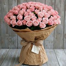 Букет 151 Роза Роуз #REPLACE_PRED# Хакуринохабль
