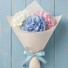 Букет цветов из:  Гортензия в Хакуринохабль