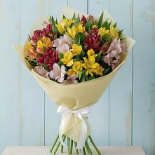 Букет цветов из:  Альстромерии #REPLACE_PRED# Хакуринохабль