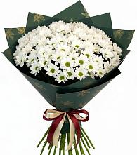 Букет цветов из:  Хризантемы #REPLACE_PRED# Хакуринохабль