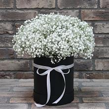 Цветочная композиция из Гипсофила в шляпной коробке в Хакуринохабль