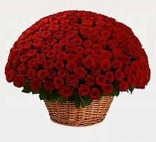 Премиум букет из: Розы в Хакуринохабль